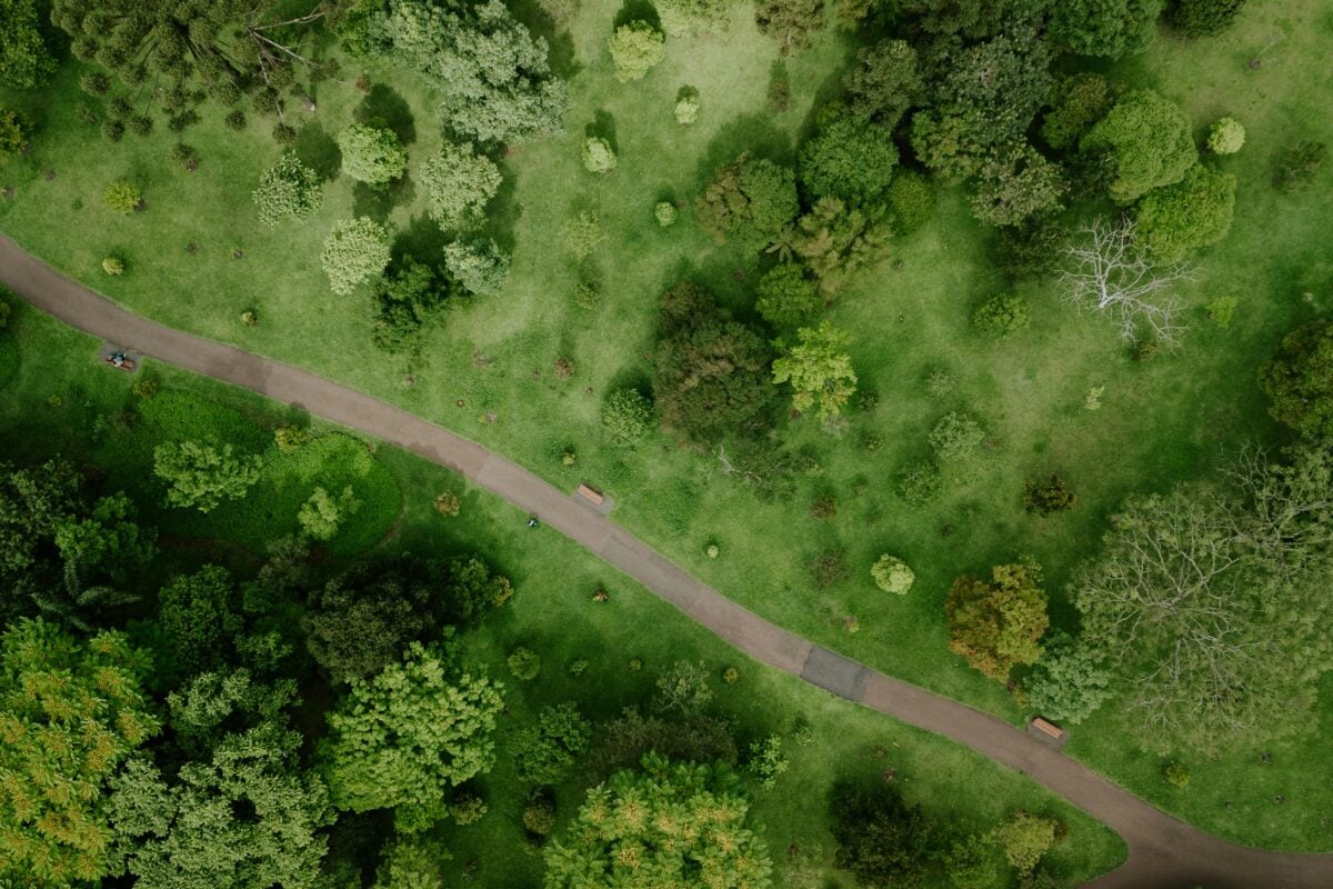 Top view of vibrant foliage and winding paths in a park in Curitiba, Brazil.