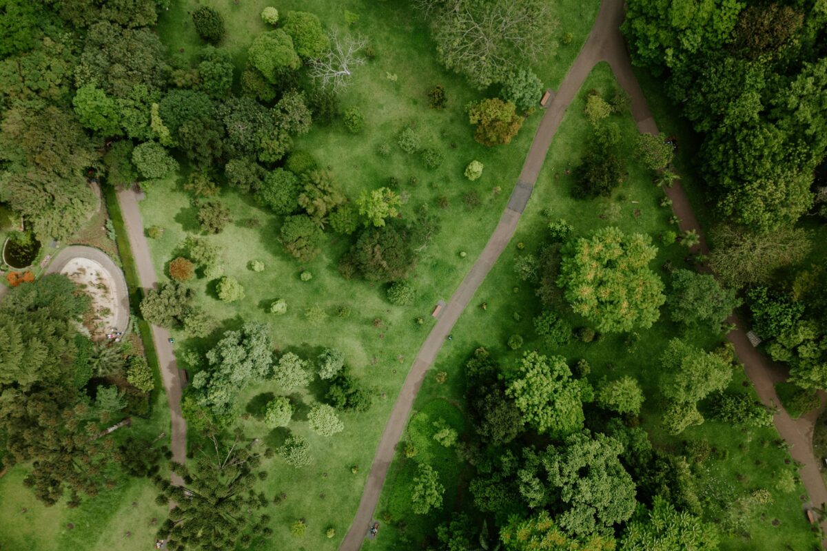 Top view of vibrant foliage and winding paths in a park in Curitiba, Brazil.