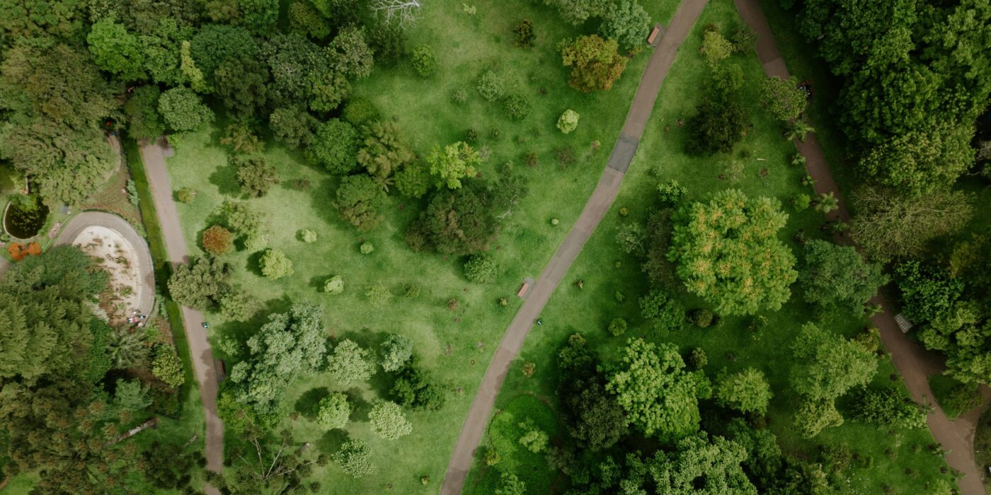 Top view of vibrant foliage and winding paths in a park in Curitiba, Brazil.