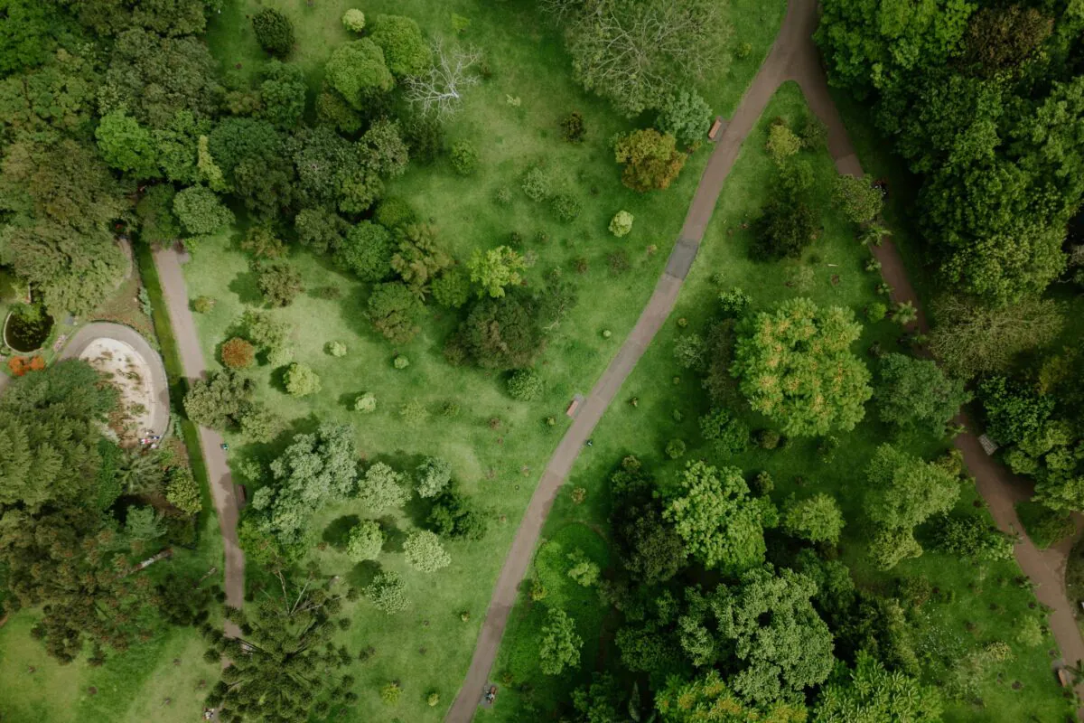 Top view of vibrant foliage and winding paths in a park in Curitiba, Brazil.