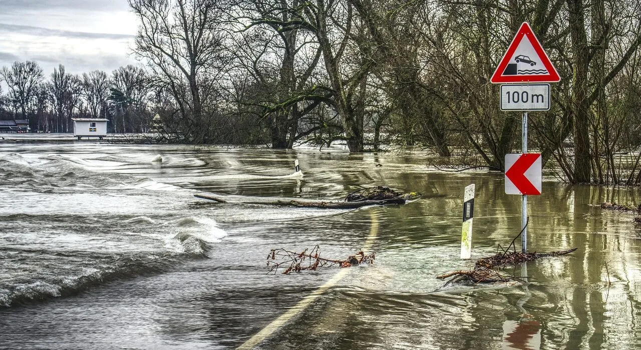 flood, flooded, floods, underwater, danger, attention, watch out, waters, nature, flow, tree, landscape, water, reflection, hdr, high dynamic range, traffic sign, warning, traffic signs, a notice, sign, character, climate protection, flood, flood, flood, flood, flood, floods